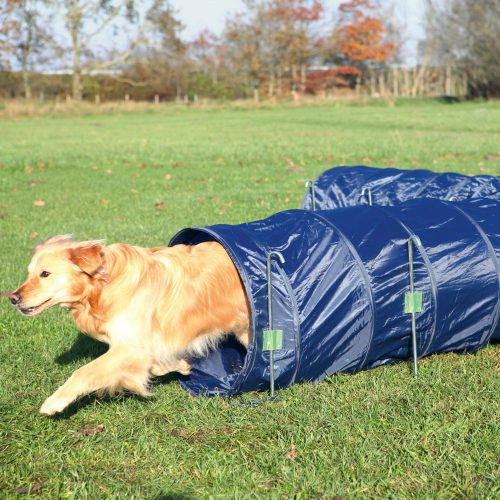 Agility Basic Tunnel(1)