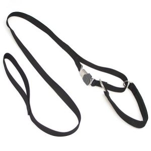 agilitylijn_sprenger_40cm