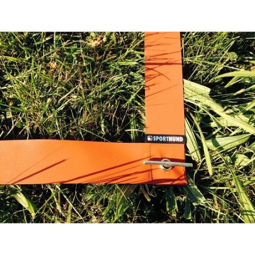 obedience_box_band_sporthund_grondpin