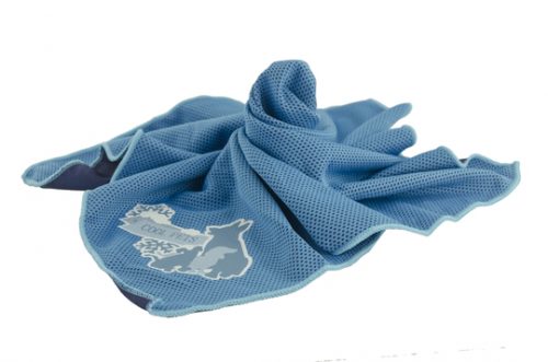 CoolPets-Bandana (3)