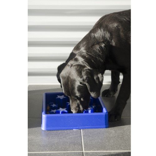 Eat-Slow-Live-Longer-Star-Blue1
