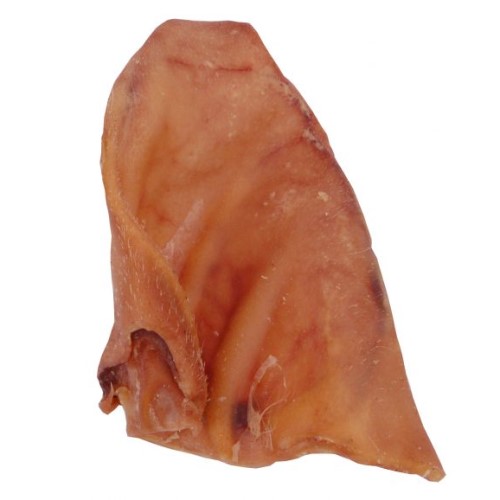 Varkensoren