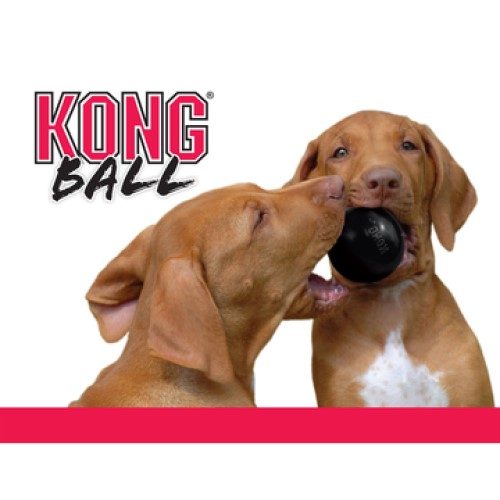 Kong-Ball-Extreme (2)