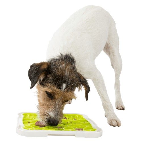 lick_n_snackplaat4