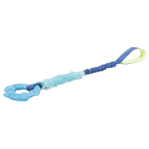 bungee_ring_blauw