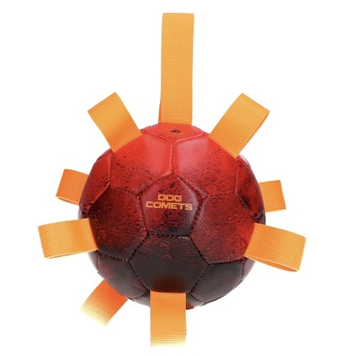 dog_comets_hypernova_oranje