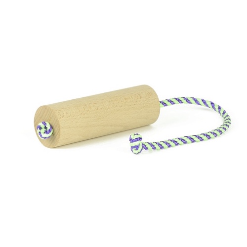 houten_steg_met_touw