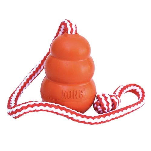 kong_aqua