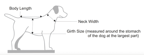 Signaleringsvest voor de Hond - Afbeelding 4
